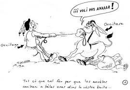Voli pas